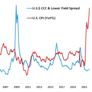 Junk Bond Performance versus Consumer Price Inflation- JAN 2022